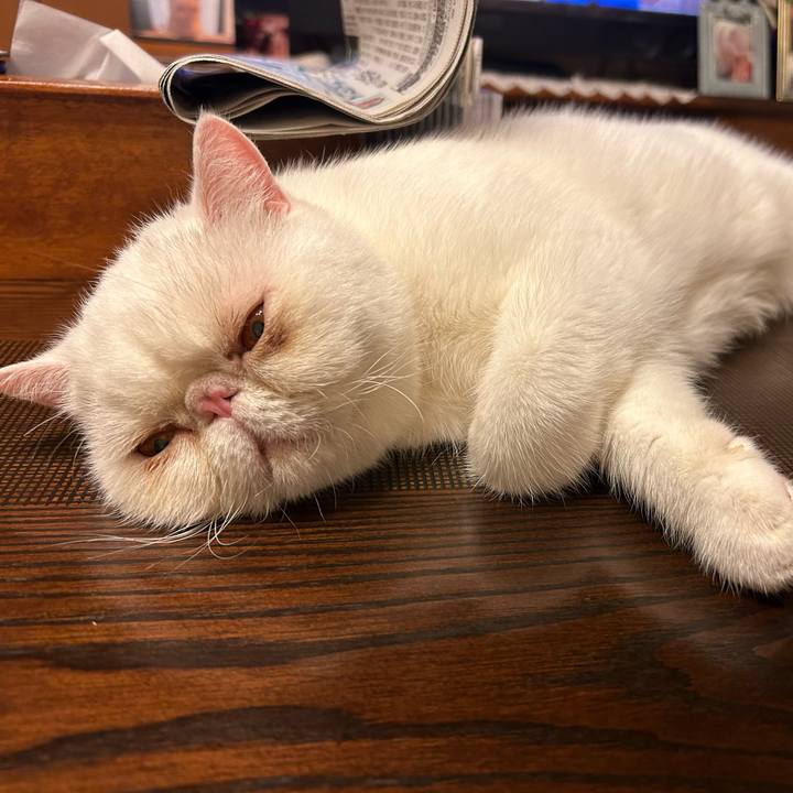 7974dcbc 10a5 4afc a452 e209c694793d 1694518851534