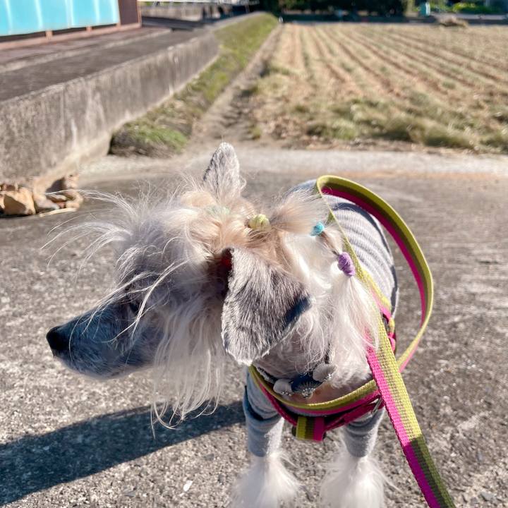 7974f7b3 8f52 4543 94da 61bd3ea8f5f5 1759993618659