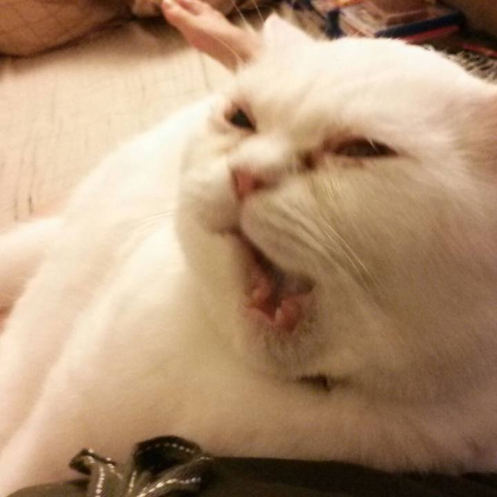 7974ffe6 92c0 4634 a982 4a32884f08d4 1509870018318