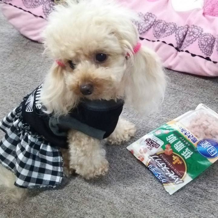 79750fa4 0785 4b69 b763 3963e4f01e33 1535370513325