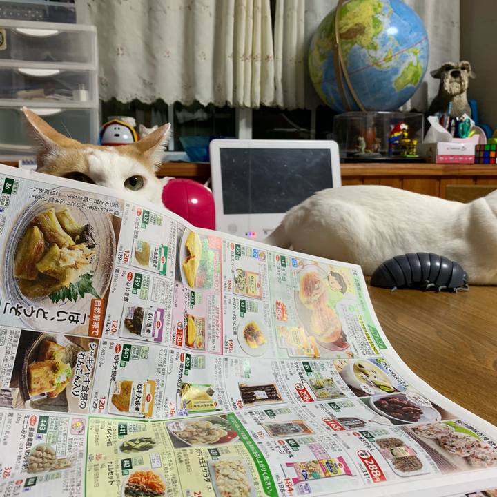 797519b4 5697 4b0e b69c 1e3a0522ce8e 1562424159074