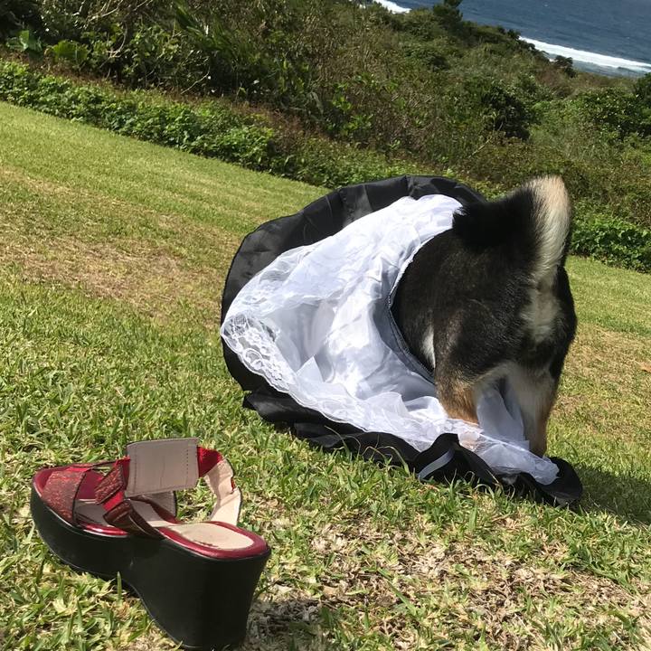 79751daa 98f4 4199 8647 695c8cbe95b6 1509430072827