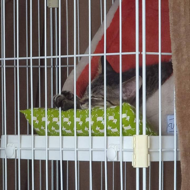 79752ecb 32ee 41e2 9ea5 2fad795e8acc 1699934905495