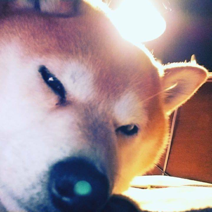 79753644 71b7 4d21 9b37 dffa908d02e9 1517059263266