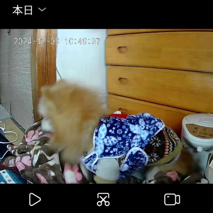 79753aa3 9cdd 467f b490 ef01c85bf487 1733729480010