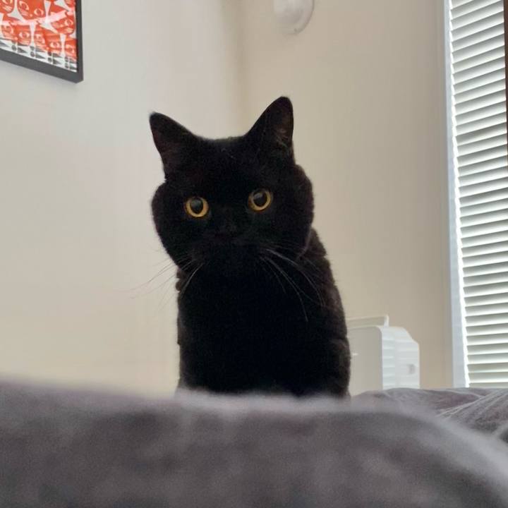 79755452 0dd5 43fe bcfa b017bdc68f2b 1740792045740