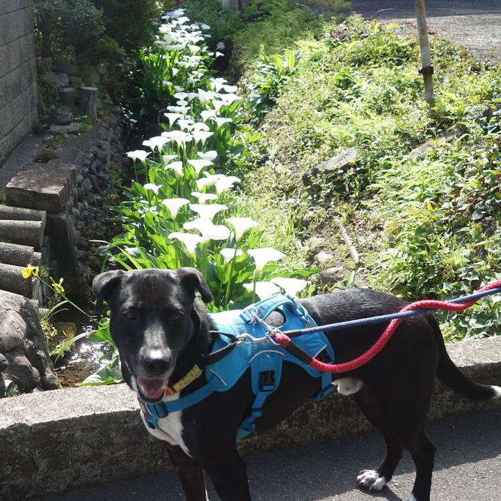 79758e55 92ea 4018 bd5a e29c60aabfd0 1620091371200