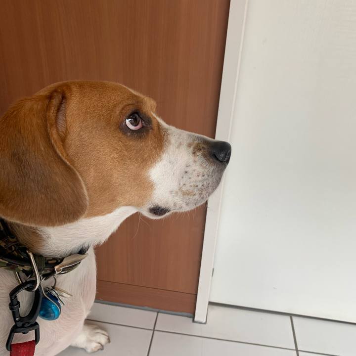 79759564 cd87 4641 9a0e 59cae8f1f313 1609298735442