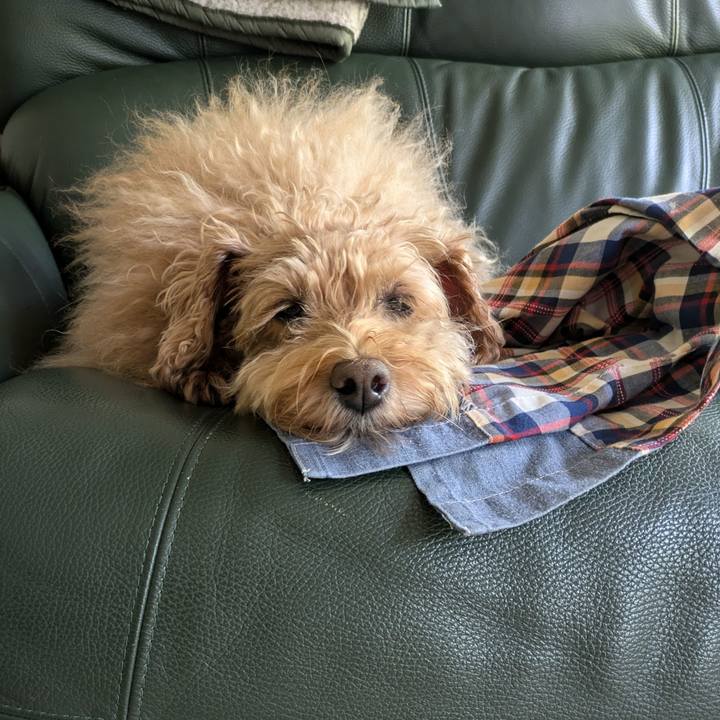 7975a048 1d76 42bd 8842 7ed79b585ce8 1727908988583