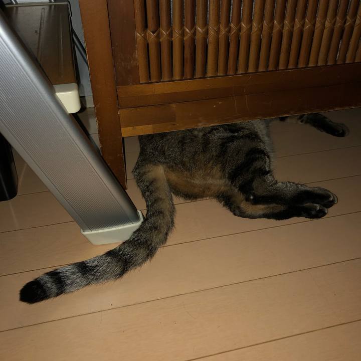 7975d78f 5f98 443c 986e 0199117fc301 1550683695803