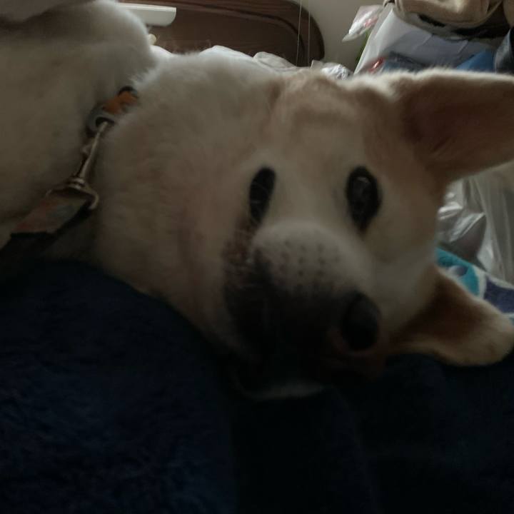 7975eaec 1640 4bab bb37 969f2fa3334e 1628468118795