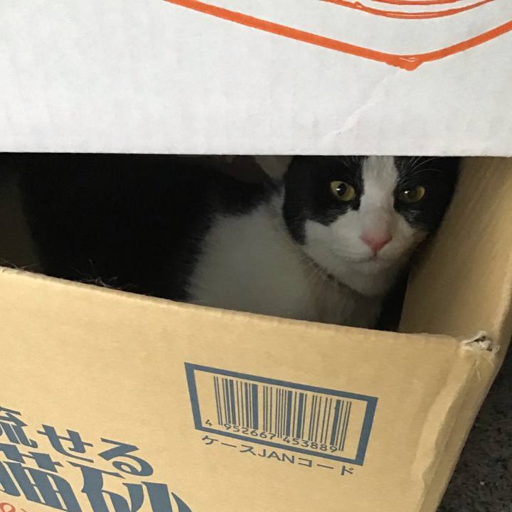 7975f2ec 2eba 4d5b a74a 6146ba0aa83a 1655715840707