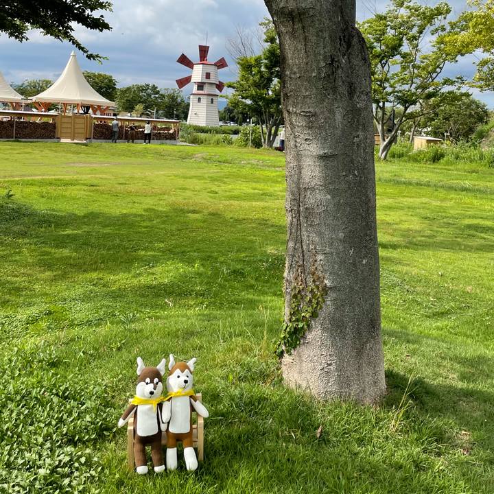 7975f49f 0e46 4e5f 8ab4 80d75ad2f757 1659769797847