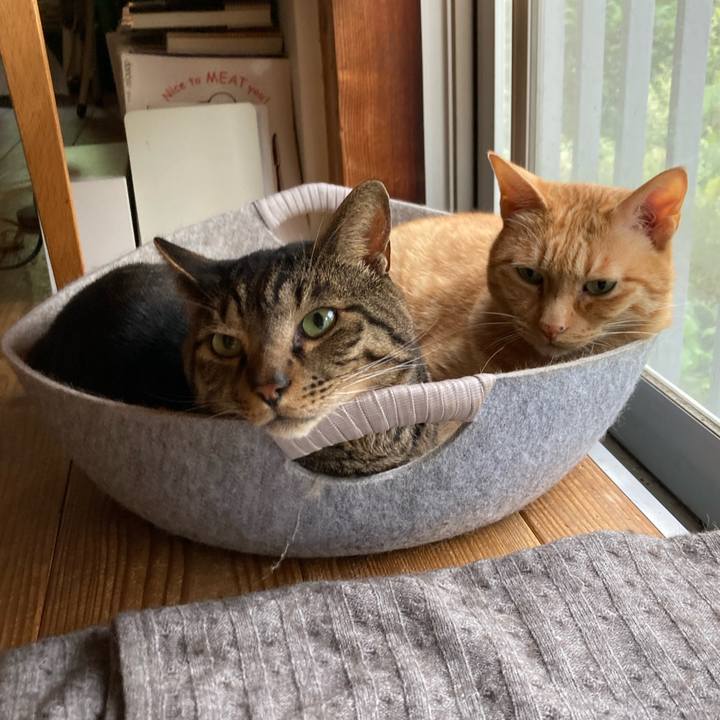 797604e1 bdda 4169 82e7 75bec7f748d7 1715491668843