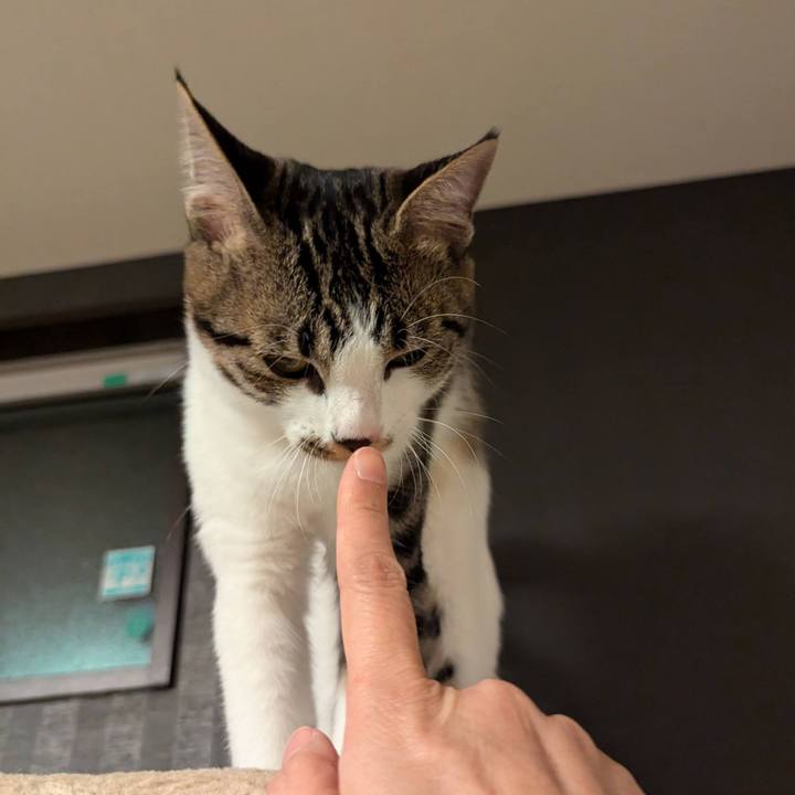 79762214 c293 4af0 a23f a5c2cb4499ef 1733390680736