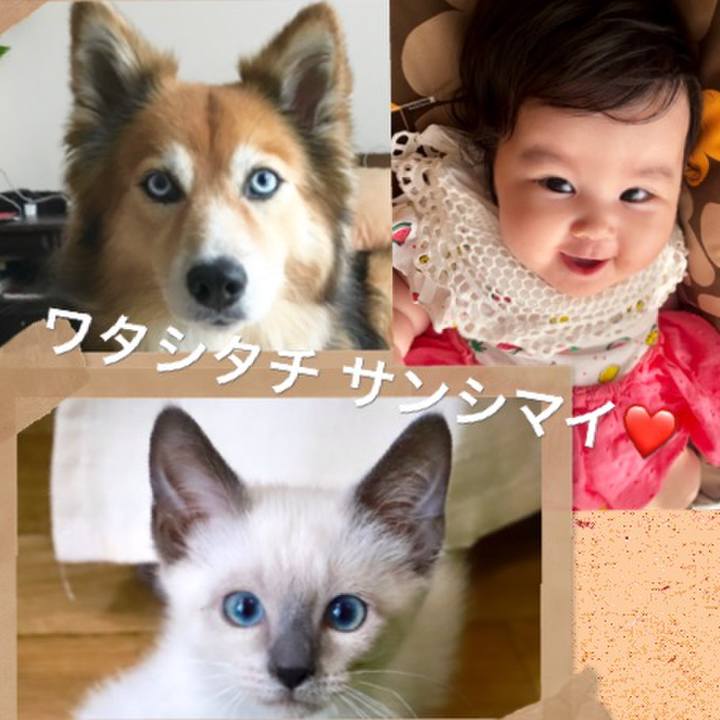 797639fd d515 469f 9f80 dbe529b698fa 1571204594409