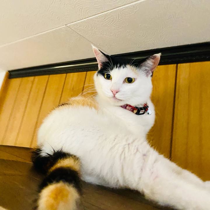 79763a63 ae71 4008 ad82 a35b2e737ccf 1656771962172