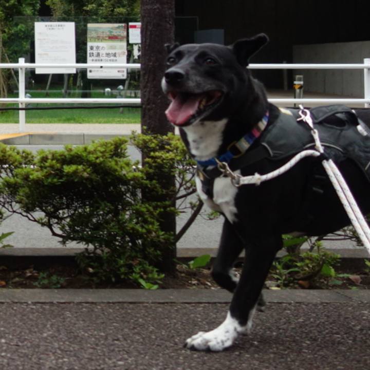 79763f5d 98ae 4c0d b8b8 a01f2bbf297f 1663203813462