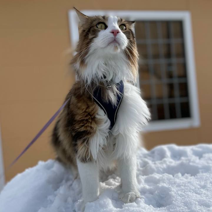 79768e94 64b1 44d5 8671 256a29702a82 1677114727256