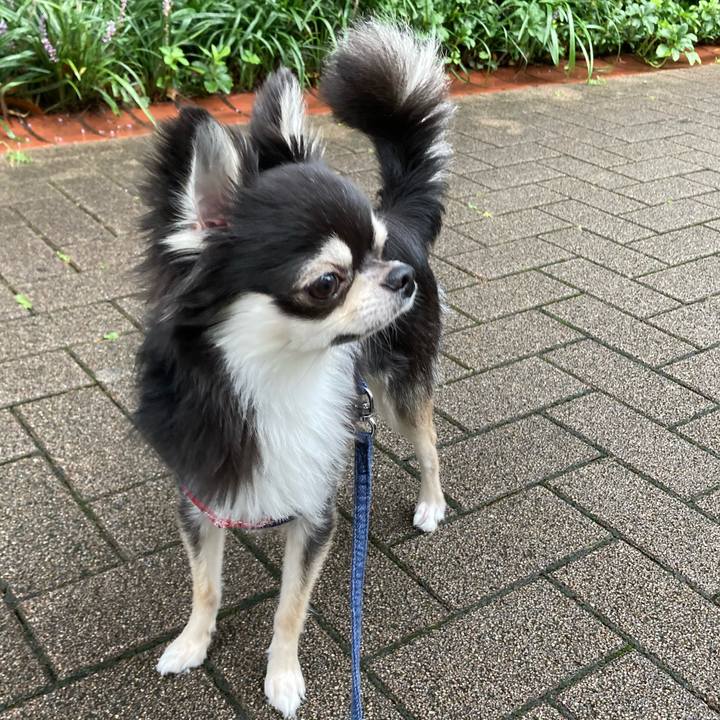 7976989e f215 4892 a254 f334a18c5c02 1628912386989