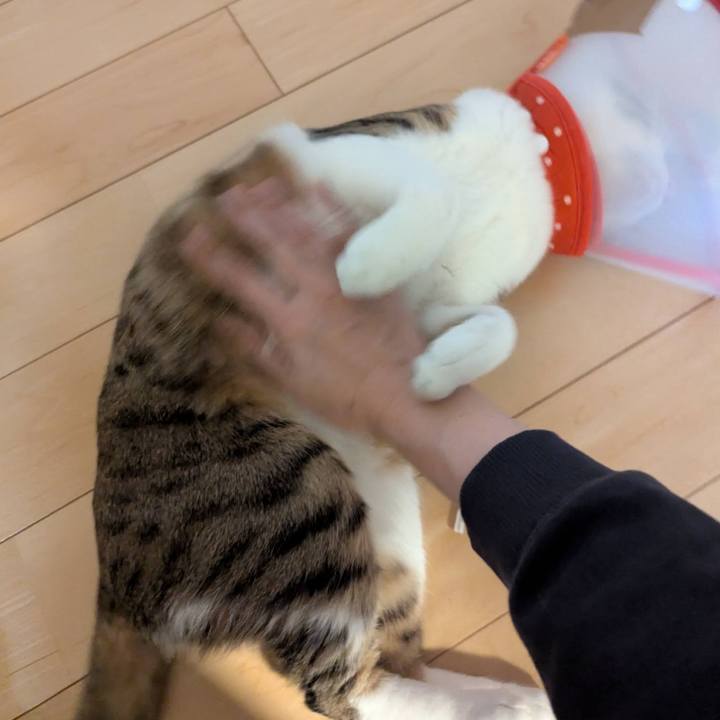 7976aa1e 37f5 40b5 aa12 3f10d9e1d892 1770619756476