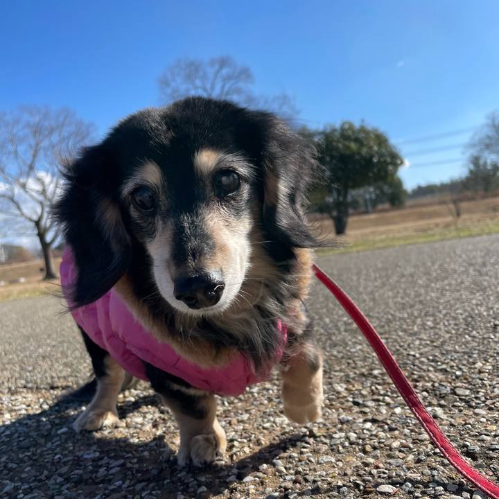 7976aa6e 0ba4 4f8a 8556 1b4b80e0f0e4 1738108421041