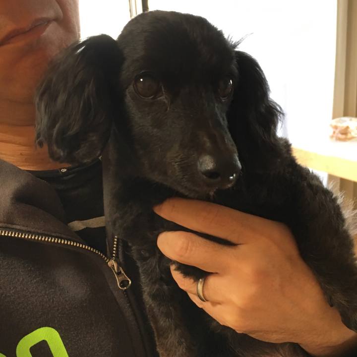 7976bafb a593 4fa1 adb3 6dbaa97a579a 1511589741061