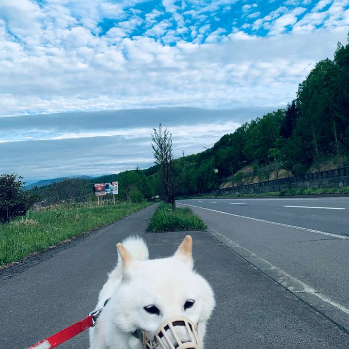 7976c96f 1219 4fdb b7e4 f38af1a4718e 1621245950023