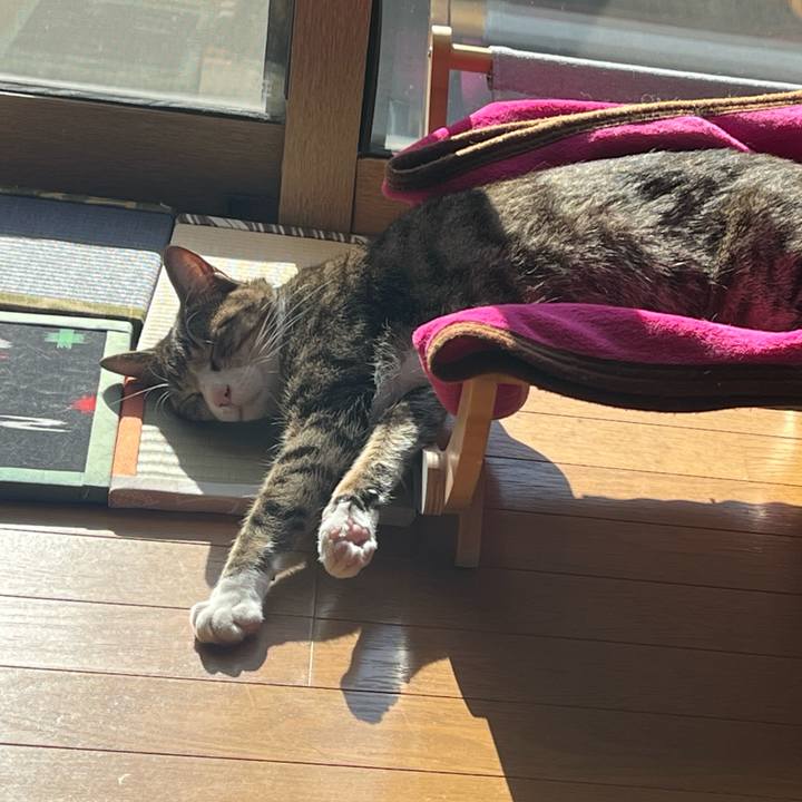 7976d729 21b3 4433 8ac6 bd483ea574c6 1768564706367