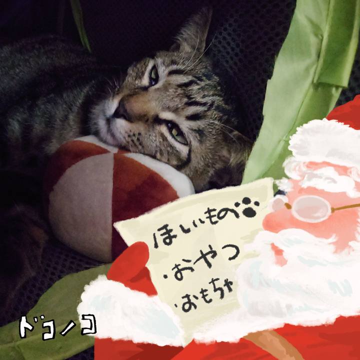 7976eced 06eb 4de4 8789 889198bd6a8f 1729064094283