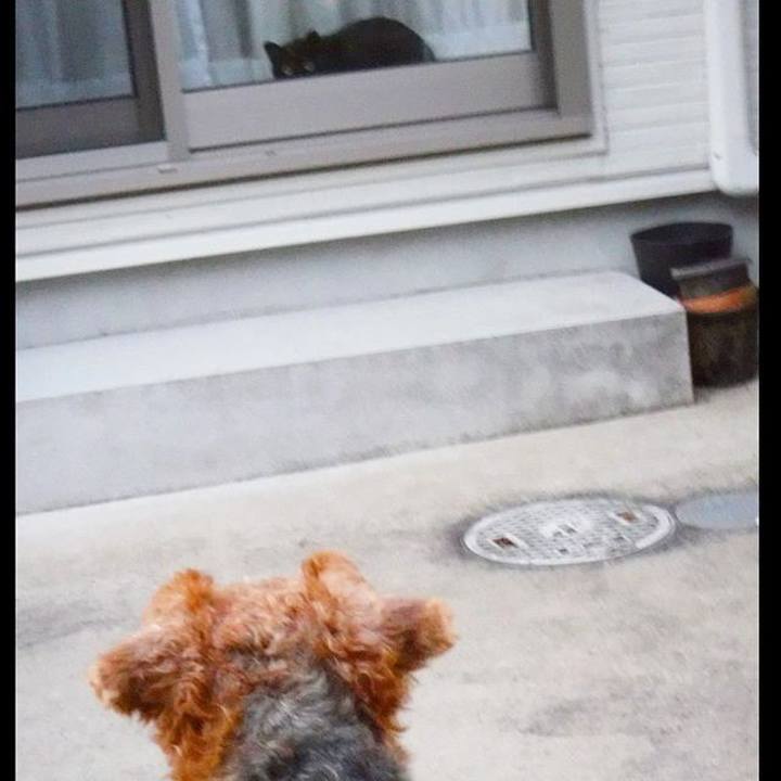 79770b46 028b 4b05 b2b6 3d1023a44057 1540394447260