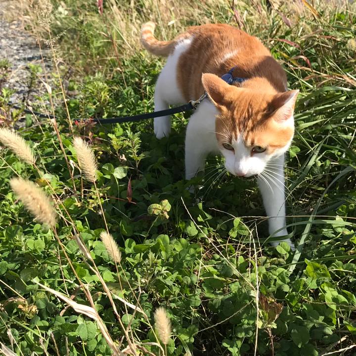 7977239a dbfa 4d2b 8671 896bc56170fe 1509422224461