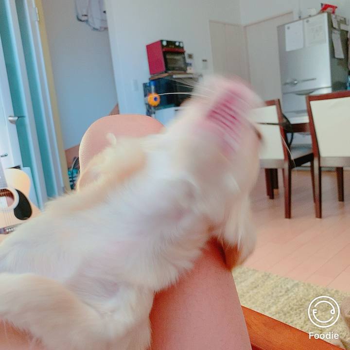 79775076 876f 4715 a641 ff35183f3d14 1599607416283