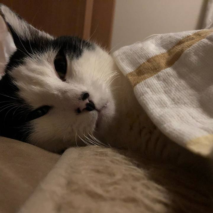 79775dfb 7684 4f6e a0a9 21cde195e84b 1547029921916