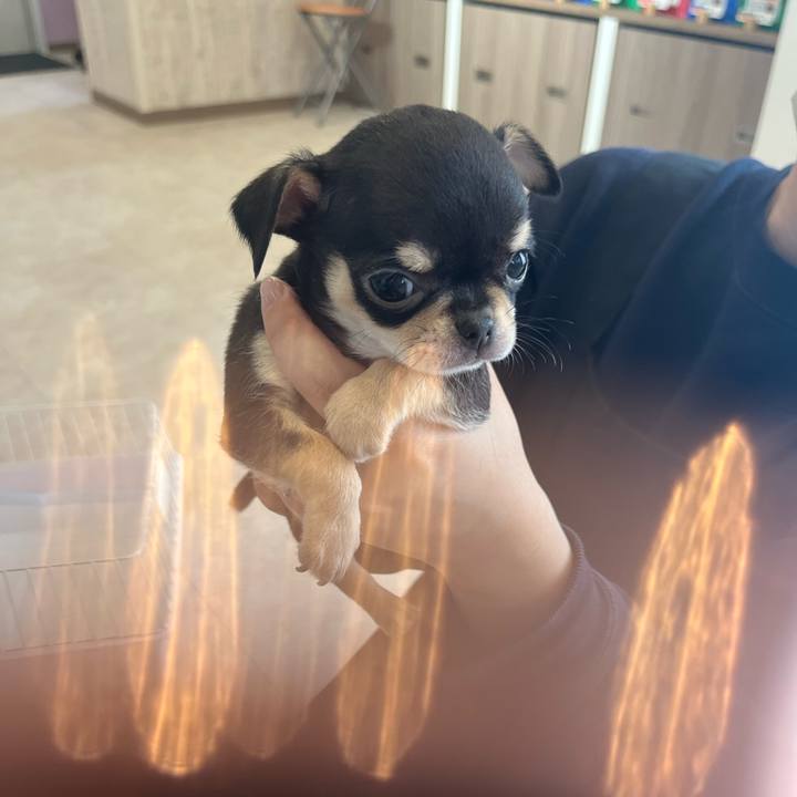 7977708c 32a0 4b27 9947 319db50cdb87 1719092415874