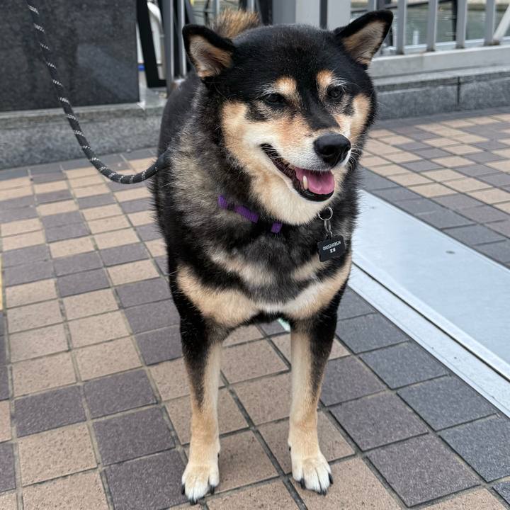 797776de 9f7f 4a49 abbc 2c8b6580d716 1762118917246