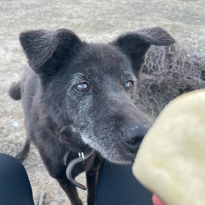 797789dd 97f7 4a15 beb9 3bf86f51bee1 1718271268735