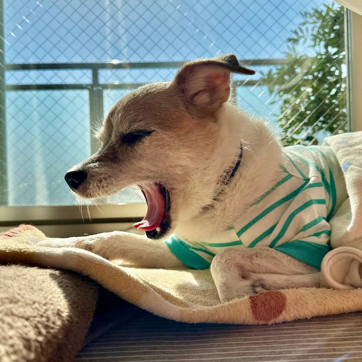 7977b4b1 251b 4ef0 8baf 667d0bbdd4e6 1698885929958