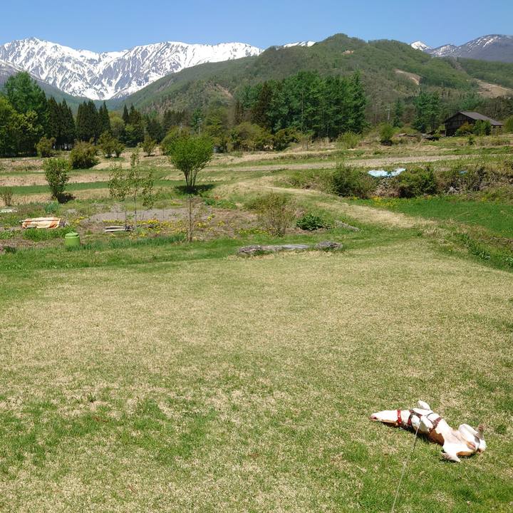 7977cd8a 0f0e 4081 91d4 6578e1140db6 1715057693888