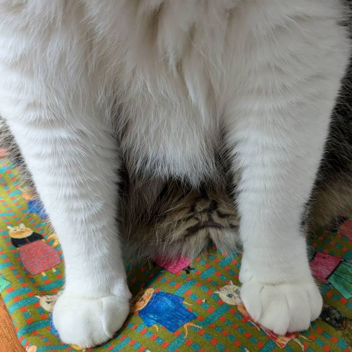 7977f5d7 77ee 4c5a b6d8 09552f00f634 1719139095346