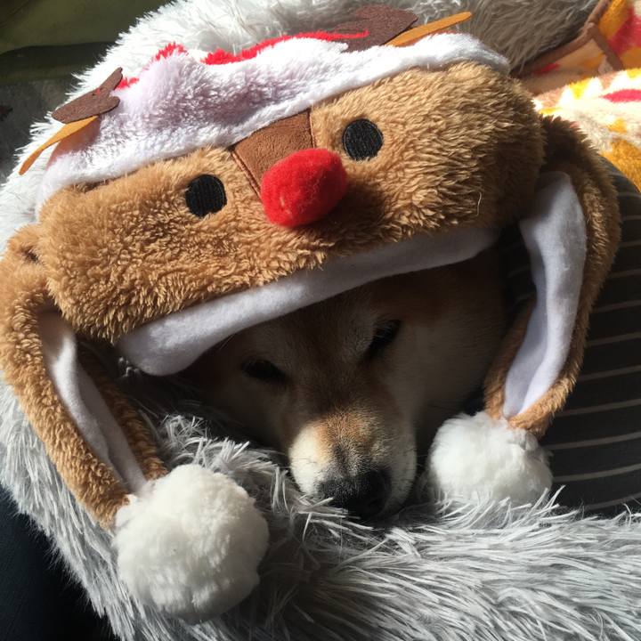 79781449 c8ea 411d af86 2602368641dc 1640404346694