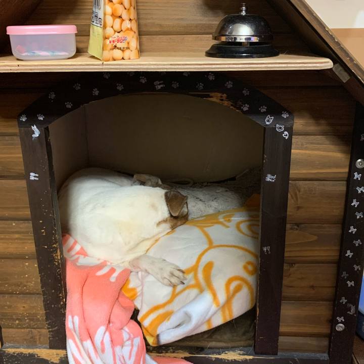 79781da7 6d57 4a65 a1bf 3c2f7b034588 1611236432176