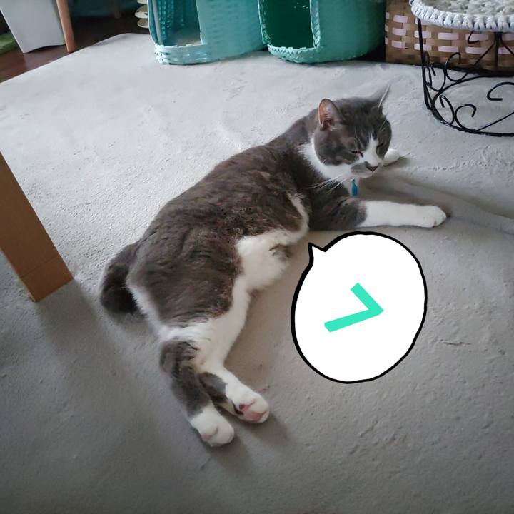 79782240 d7fb 46de 9545 4e5c66bf0413 1686363327852