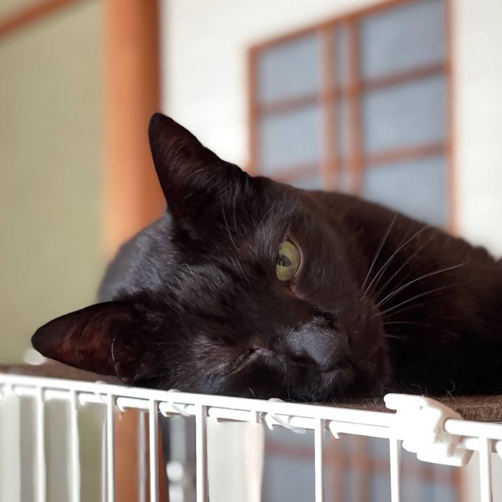 79782f09 5eee 498a ac52 be85ae379bd5 1626920532597