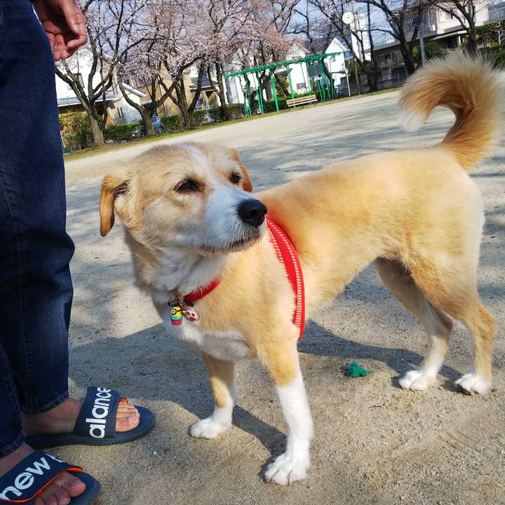 79784edf e815 4b67 82c1 9e972b0b82ad 1521944227085