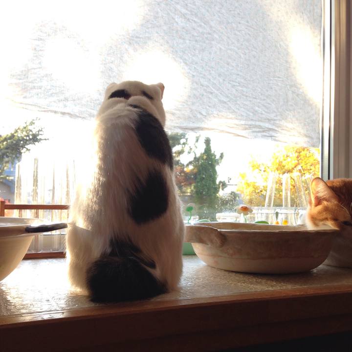 797897be 72a1 4425 922e 70d770918ee7 1508363335836