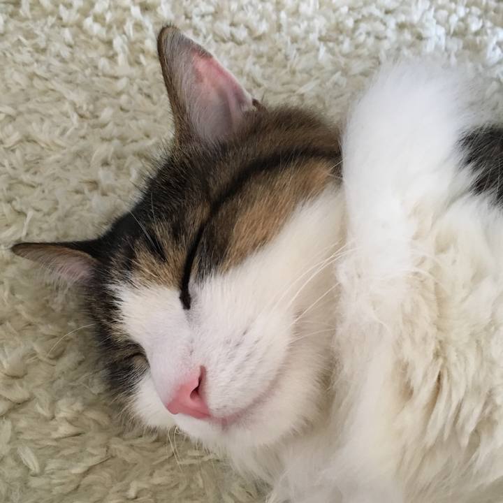 7978a270 6d62 49c2 97f3 66c155f350d1 1513308316627