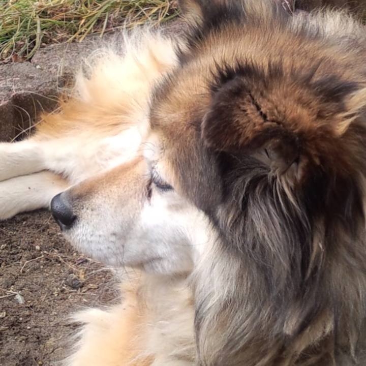 7978bf9e 7bf0 437e a896 eb54722dba29 1555134775481