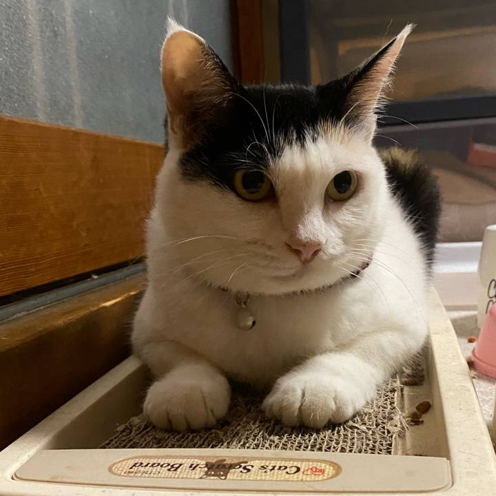 7978d456 5e85 4ada 8101 6803e0f894c4 1661115520046