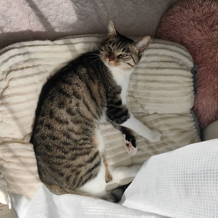 7978e6ca 03b2 4d2e 9a17 fe6809b2d312 1679450282025